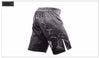 Image of Martial Shorts