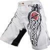 Image of White dragon HAYABUSA