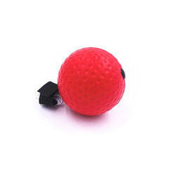 Work Out Punching Ball