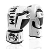 Image of Boxing Gloves